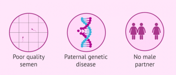  مقایسه کامل بین فریز اسپرم و فریز تخمک