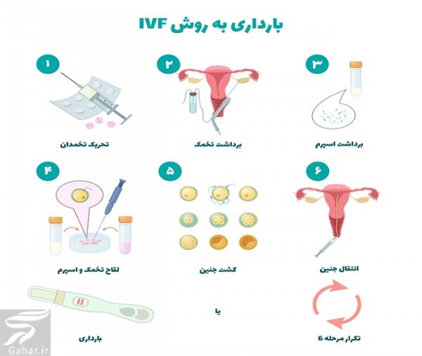  مراکز دولتی فریز تخمک در تهران/دکتر خوب برای فریز تخمک