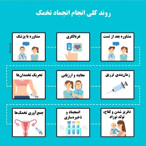  مراکز دولتی فریز تخمک در تهران/دکتر خوب برای فریز تخمک