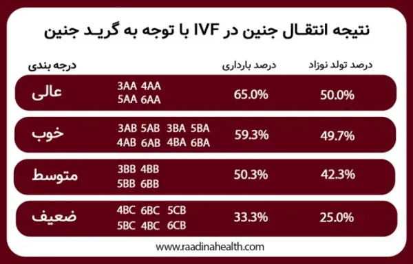  فریز تخمک بهتر است یا فریز جنین/ عکس جنین فریز شده سه روزه