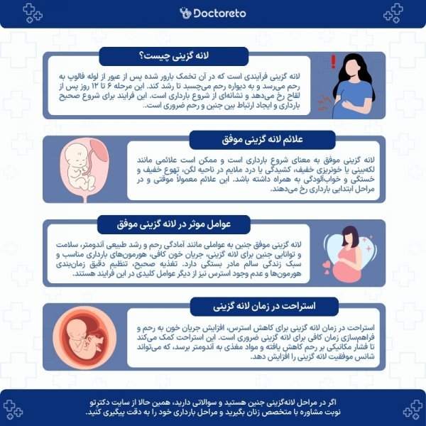  فریز تخمک بهتر است یا فریز جنین/ عکس جنین فریز شده سه روزه