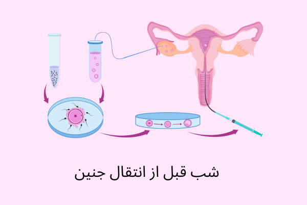  فریز تخمک بهتر است یا فریز جنین/ عکس جنین فریز شده سه روزه