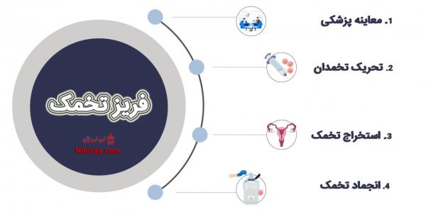  پروسه فریز تخمک چقدر طول میکشد؟