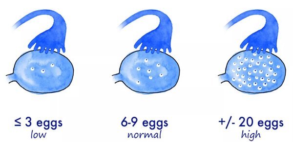  پروسه فریز تخمک چقدر طول میکشد؟