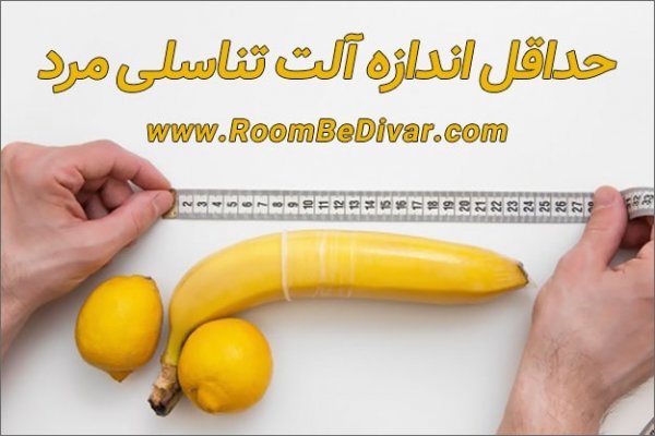 اندازه نرمال آلت تناسلی مرد و ارتباط آن با لذت جنسی