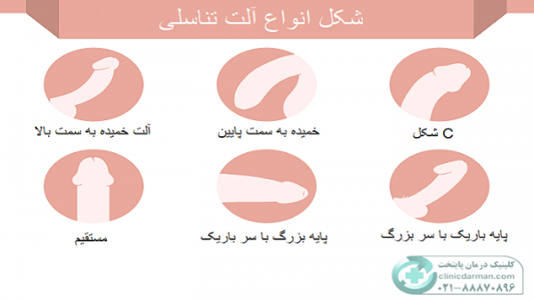  اندازه نرمال آلت تناسلی مرد و ارتباط آن با لذت جنسی