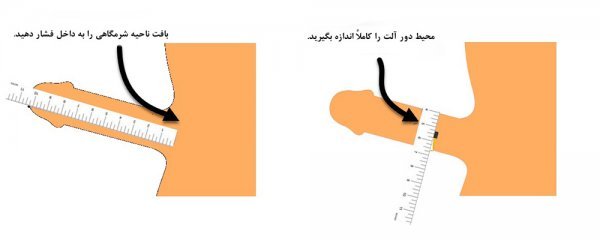  اندازه نرمال آلت تناسلی مرد و ارتباط آن با لذت جنسی