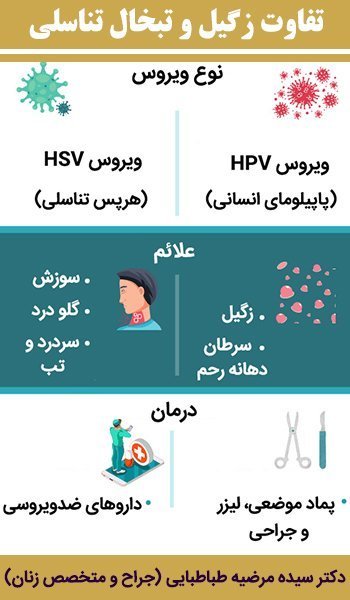  شکل ظاهری تبخال تناسلی در زنان / تفاوت تبخال تناسلی با زگیل تناسلی در زنان