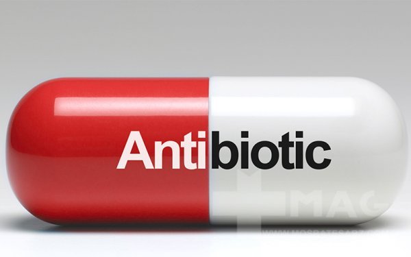 قویترین قرص آنتی بیوتیک