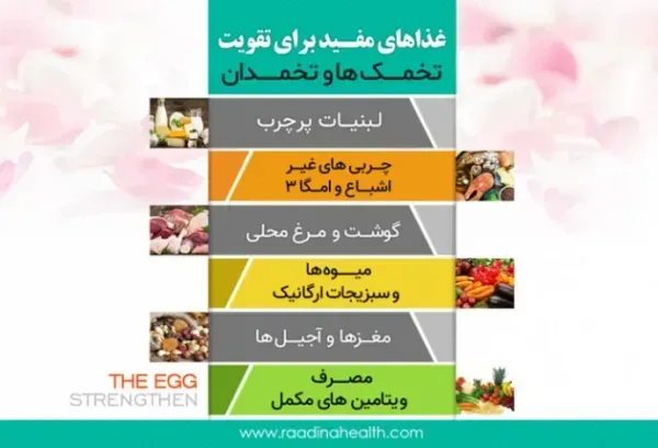  چه بیماری هایی باعث نازایی / حامله نشدن / باردار نشدن میشود؟