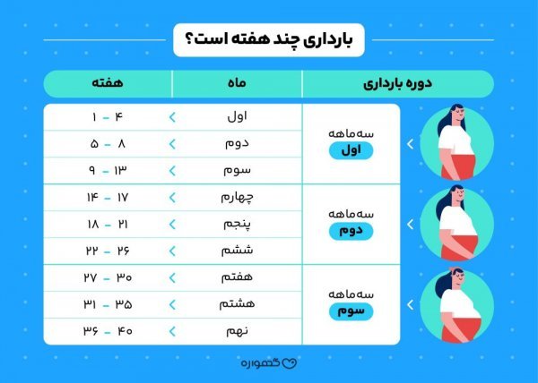  ممنوعیت رابطه جنسی سکس در بارداری