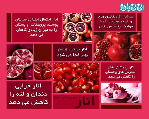  بهترین ساعت شبانه روز برای بارداری