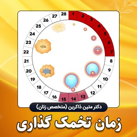  بهترین ساعت شبانه روز برای بارداری