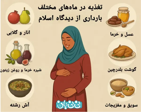  بهترین ساعت شبانه روز برای بارداری