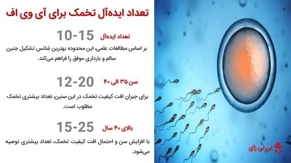  ای وی اف برای چه سنی مناسب است؟