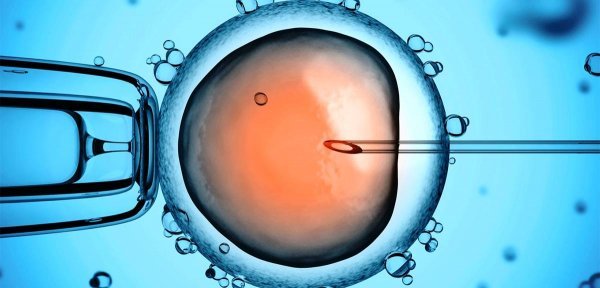 قیمت فروش اسپرم+شرایط اهدای اسپرم