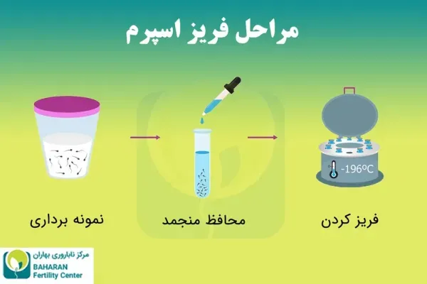  قیمت فروش اسپرم+شرایط اهدای اسپرم