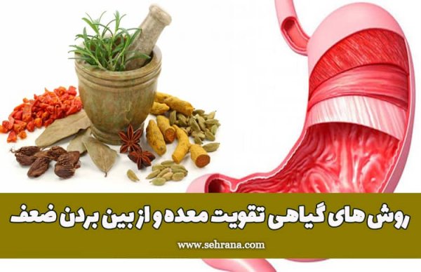 بهترین دمنوش برای تقویت معده