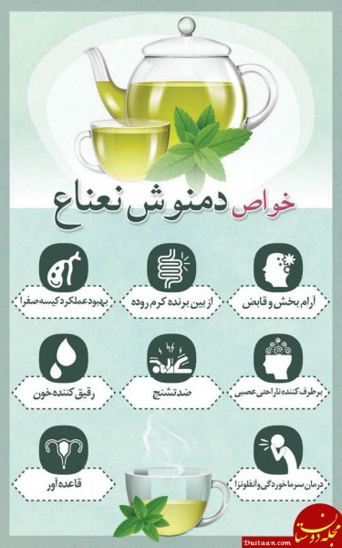  بهترین دمنوش برای تقویت معده