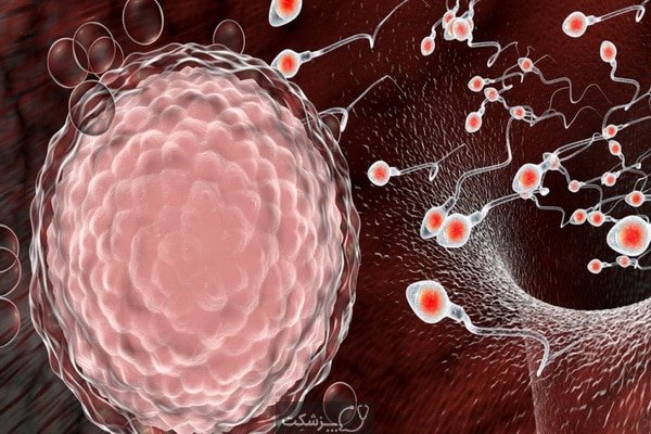 اسپرم آبکی نشانه چیست؟