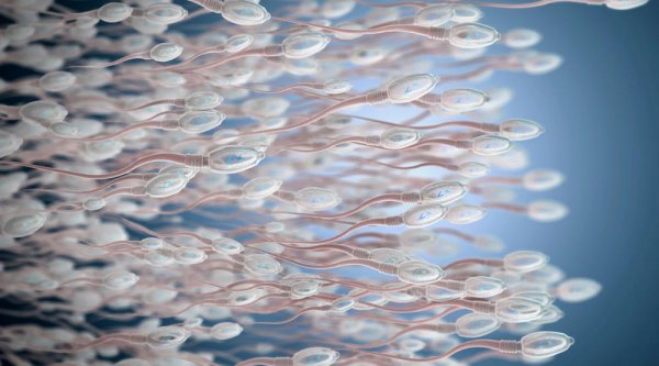  اسپرم آبکی نشانه چیست؟