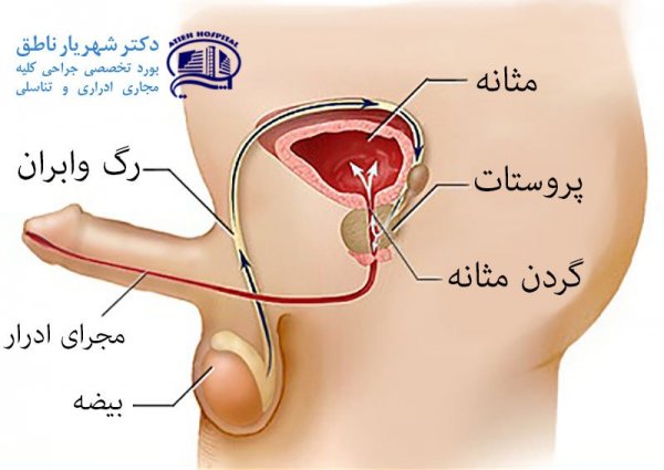  علت خونريزي بعد از خودارضايي مردان