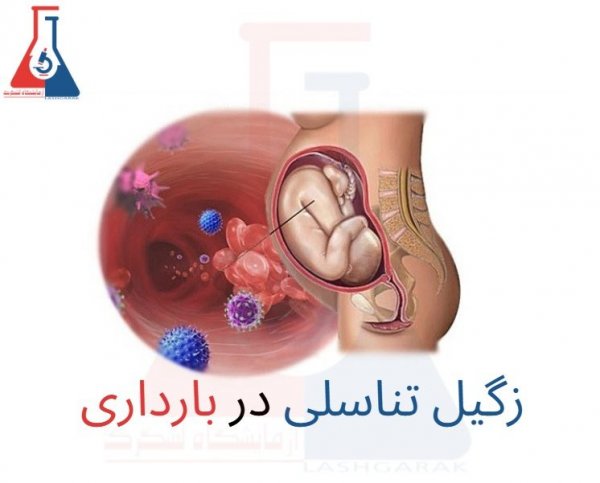 آیا بعد از درمان زگیل تناسلی میتوان باردار شد؟