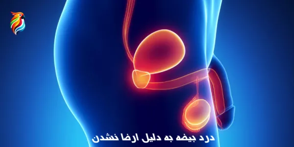 درد بیضه به دلیل نداشتن رابطه جنسی