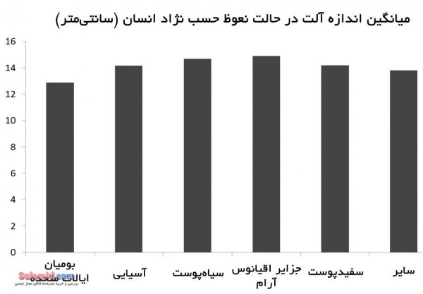  تاثیر طول آلت در رابطه جنسی+روش‌های افزایش رضایت جنسی بدون توجه به اندازه آلت