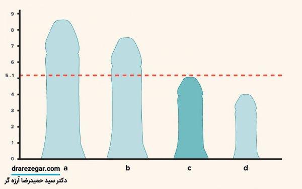  تاثیر طول آلت در رابطه جنسی+روش‌های افزایش رضایت جنسی بدون توجه به اندازه آلت