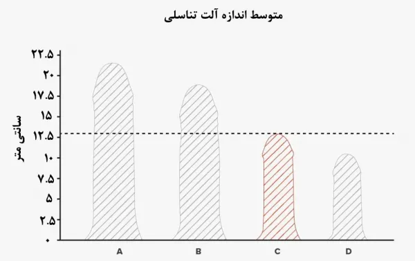  نظر زنان درباره اندازه آلت تناسلی مردان