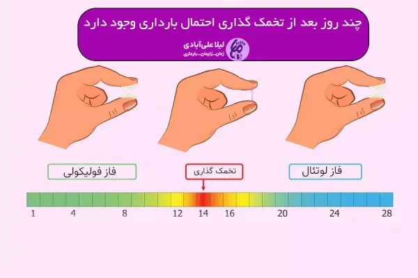  علت شهوتی شدن در زمان پریودی