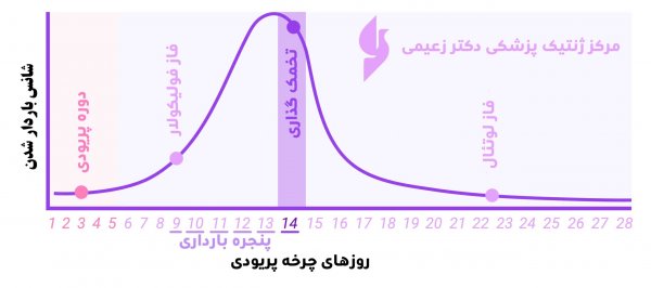  علت شهوتی شدن در زمان پریودی