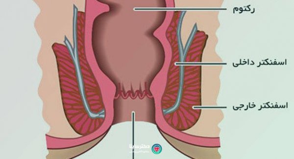  سوال و جواب درباره رابطه مقعدی/ نزدیکی از پشت