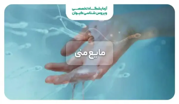 مایع قبل از انزال چیست؟