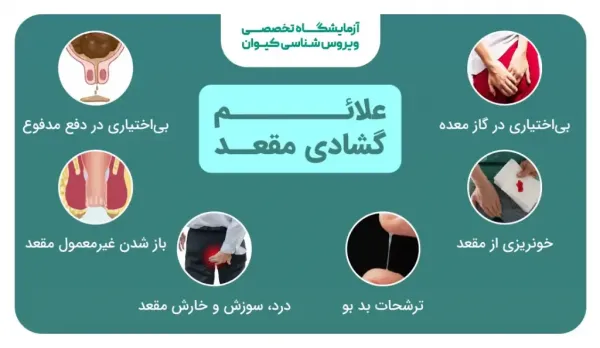  آیا رابطه از پشت غسل دارد؟