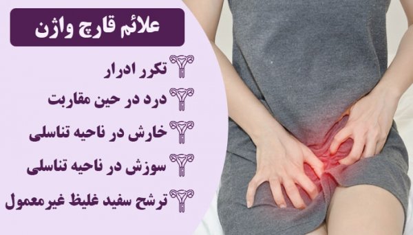  عکس قارچ دستگاه تناسلی مردان + عکس قارچ دستگاه تناسلی زنان