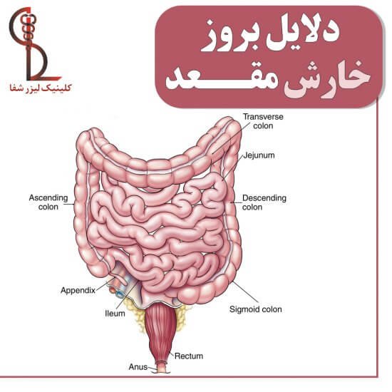  خارش مقعدی نشانه چیست؟