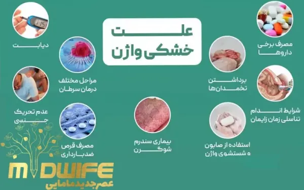  کمبود چه ویتامینی باعث خشکی واژن میشود؟