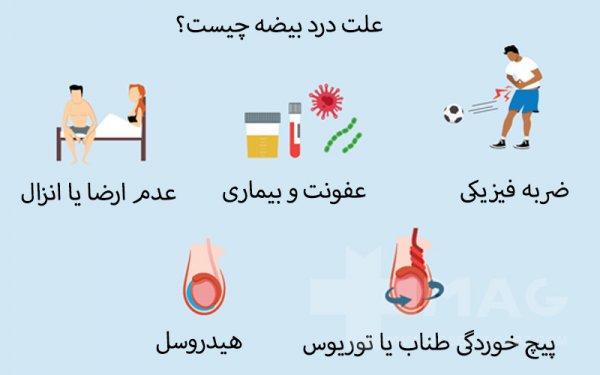  درد بیضه چپ نشانه چیست؟