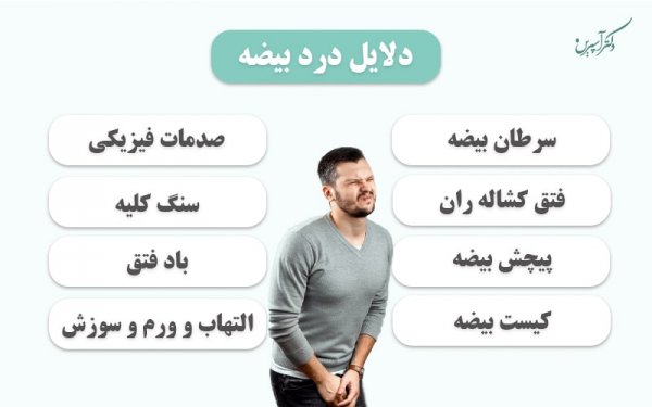  درمان گیاهی درد بیضه