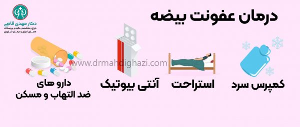  درمان گیاهی درد بیضه