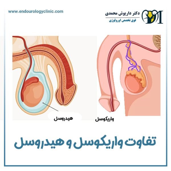  هیدروسل چگونه به وجود می آید؟