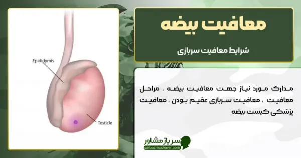  آیا هیدروسل باعث معافیت می شود؟