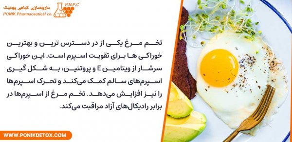  چه قرصی اسپرم مرد را قوی میکند؟