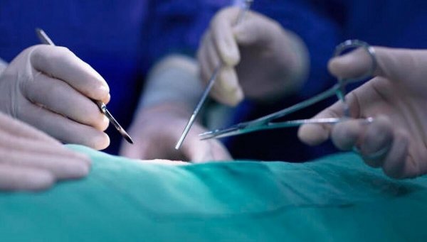  عکس پروتز بیضه + انواع پروتز بیضه