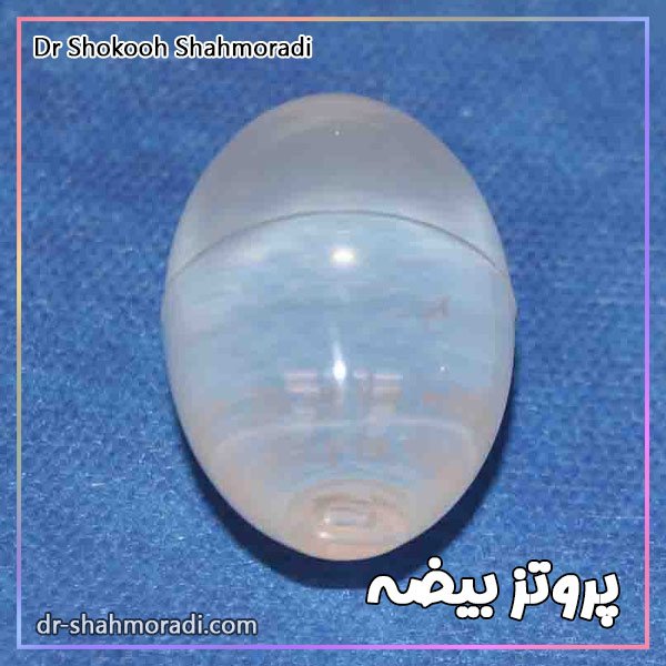 قیمت و خرید پروتز بیضه