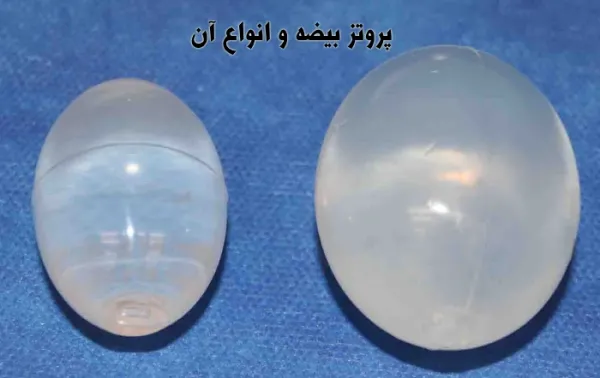  قیمت و خرید پروتز بیضه