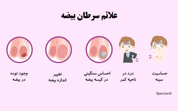  عکس سرطان بیضه
