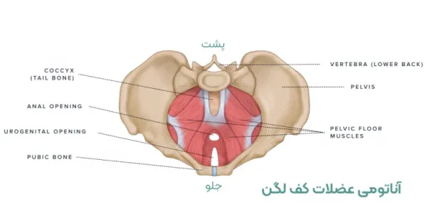  بیوفیدبک مقعدی چیست؟
